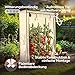 Arebos Tomatengewächshaus Foliengewächshaus | Gewächshaus klein | Tomatenhaus, Treibhaus mit Tür zum Aufrollen | 100 x 50 x 150 cm Frühbeet, Gemüse, Blumen, Obst, Garten | Gewächshausfolie