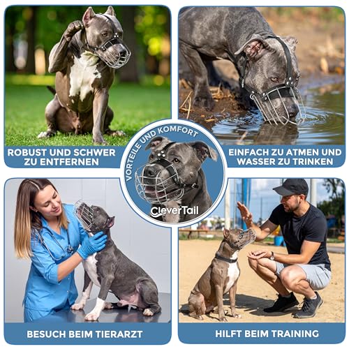 CleverTail Metall-Maulkorb für Pitbull – Körbchen-Maulkorb mit verstellbaren Lederriemen – Stahl-Käfig-Maulkorb zum Verhindern von Beißen – Mundschutz für große und mittelgroße Pitbulls und Bully