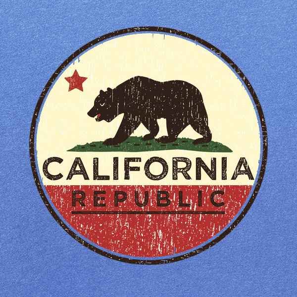 Pop Threads California Republic Flag Bear Retro Baby Toddler Kids Girl Boy T-Shirt2