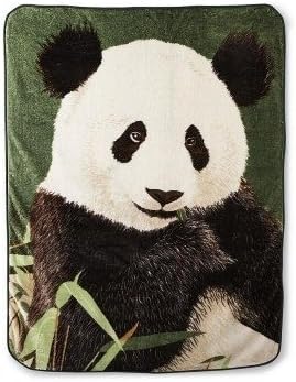 Panda Bear and Bamboo Fleece Throw Blanket, 60x80 inches, Super Soft Fleece