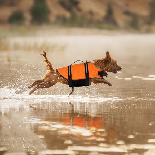 Orange Dog – Schwimmermantel | Hundeschwimmwesten zum Schwimmen | S für kleine Hunde | Schwimmwesten | Schwimmer für Schwimmboot Pool | für kleine und mittelgroße Hunde