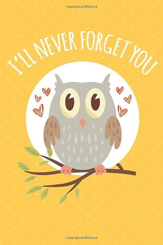 I'll Never Forget You: Discrete Password Logbook to Protect Internet Usernames and Passwords | With Beautiful Owl Illustration
