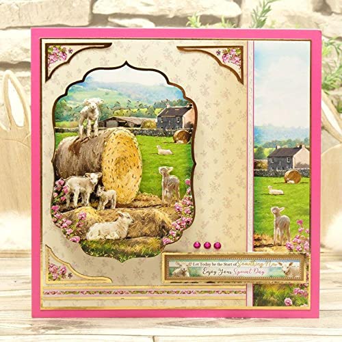 HunkyDory Crafts Meadow Farm Deco-Large - Play Time