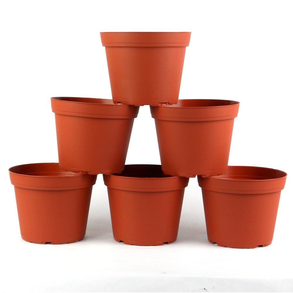 Green Paradise Nursery Pots 8 Inches Plastic Pots for Sowing Seeds Growing And Training Plant Sapling 8 inches (set of 5) (B099F8KFKC) Amazon Price History, Amazon Price Tracker