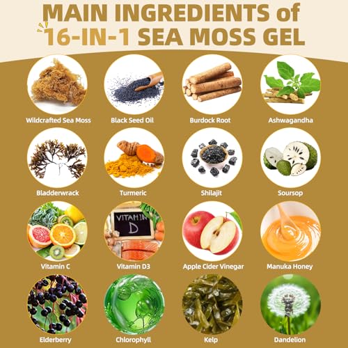 Sea Moss Gel - 18.5 oz Irish Seamoss Gel with Black Seed Oil and Ashwagandha, 16 in 1 Vegan Superfood Rich in Vitamins & Minerals, Raw Wildcrafted Seamoss for Immune & Digestion Support, Original - Image 5