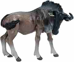 特撮 An African Elegy Amazon.com: JOKFEICE Animal Figures Realistic Plastic