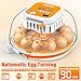 ONKO 12 Egg Incubator with Auto Temp & Humidity Control for Home, Farm, Classroom, Auto Egg Turner & Stop, External Water Refill, Air Vent, 360° Clear View, Hatching Chicken, Duck, Goose, Pigeon Eggs