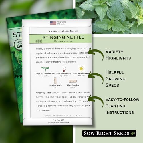 Sow Right Seeds - Stinging Nettle Seeds for Planting - Urtica Dioica - Non-GMO Heirloom Variety