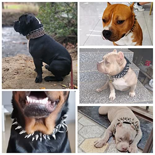 Stilvolles, scharfes, mit Stacheln besetztes Hundehalsband aus Leder - Passend für mittelgroße und große Hunde