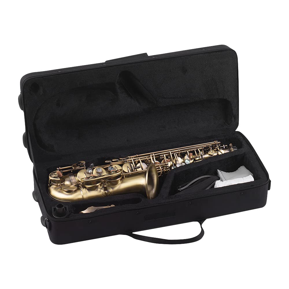 Saxofón Alto en mi Bemol con Acabado Antiguo, Carcasa de saxofón, patrón de Tallado de Llaves, Instrumento de Viento de Madera con Estuche de Transporte Acolchado, Guantes, paño