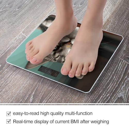 Báscula digital de baño con pantalla LED clara y vidrio templado miniatura 5