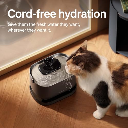 Smart Cat Water Fountain Stainless