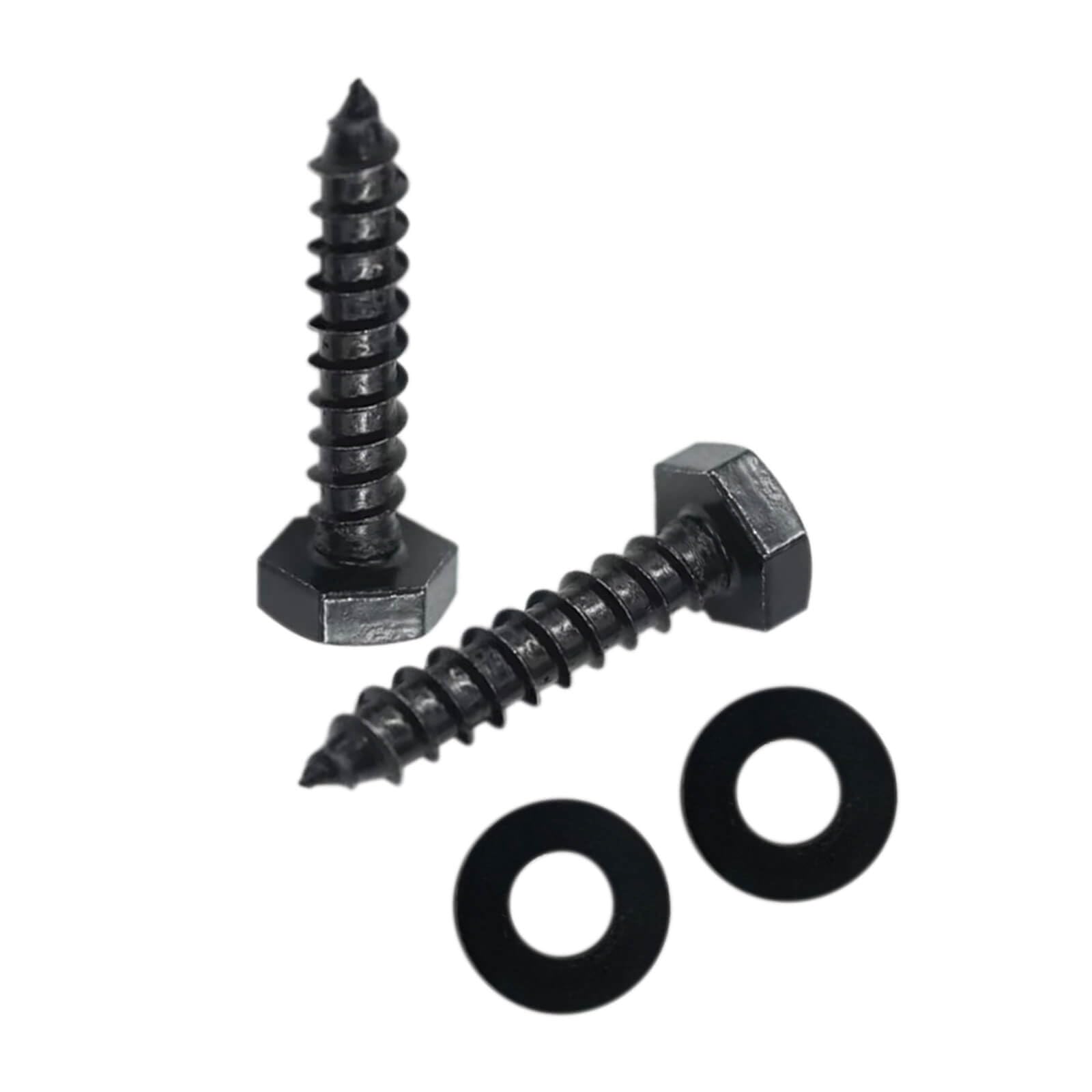 Stainless Steel Lag Screws - 25 Pack -1