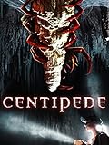 Centipede