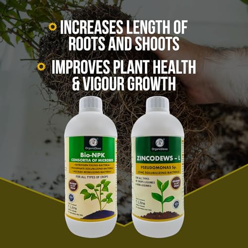 Image of OrganicDews Bio NPK consortia (5x10^8 CFU /ml) 1 Litre + Zinc Solublizing Bacteria (2x10^8 CFU /ml) 1 Litre COMBO Bio Inoculum Fertilizer for Plants - Soil Fertility, Plant Growth & Increases the Yield