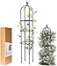 LIBRNTY Obelisco per rampicanti,Garden Supporto Piante Rampicanti,Nero Grigliato a Colonna,Adatta a Tutti i Tipi di Piante rampicanti,ortaggi,Fiori,Guardiano delle Piante