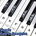 JUNLEGO Piano Keyboard Stickers with Piano Chord Chart,for 88/61/54/49 Key,Note Letters Labels for Beginners and Young Kids Piano Notes Guide Piano Key Stickers Learn Electronic Piano (Black)