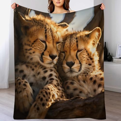 Couverture chaude lavable en machine pour dire adieu aux plaids rêches - 2