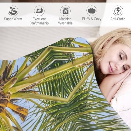 Couverture en flanelle cocotier plaid peluche canapé lit - 4