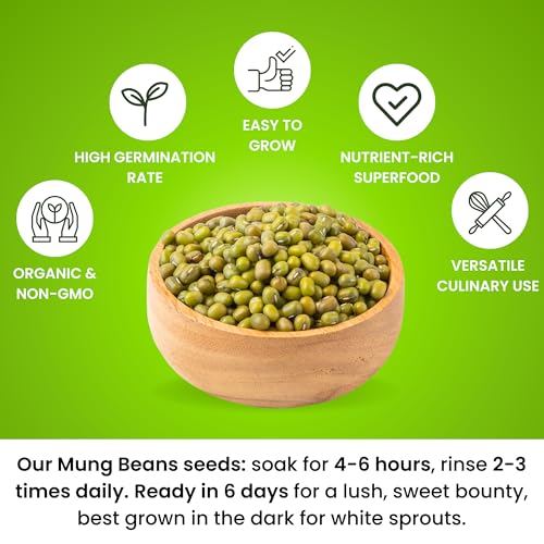 Zestigreens Premium Mung Bean Sprouting Seeds – Non Gmo- Seeds Come In Resealable Bag For Keeping Fresher For Longer thumb #1