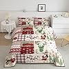 Christmas Quilt Set Twin Xmas Tree Santa Claus Deer Bedding Comforter Sets Red Buffalo Check Plaid Comforter Christmas Bedroom DecorWinter Holiday Snowflake Decor 1 New Year Pillow Case Red Green