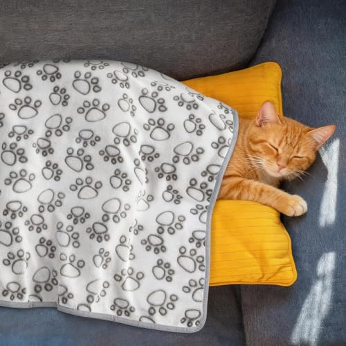3 Stück Hundedecke Klein Flauschig 60 x 40 cm, Weiche Hundedecken, Waschbar Kuscheldecke Hund, Katzendecke für Katzen, Flanell Welpendecke für Kleine Hunde, Katzen, Welpen, Meerschweinchen, Grau