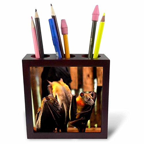 3dRose ph_215944_1 Bat Painting Critter Animal Standing Up Tile Pen Holder, 5"