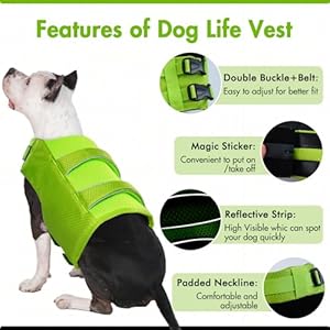 IECOii-Dog-Life-Jacket-LargeLarge-Dog-Life-Vest-for-BoatingReflective-Dog-Swimsuit-Lifejacket-with-Double-Rescue-HandleLightweight-Pet-Dog-Life-Preserver-Vest-for-Kayaking-SurfingBright-GreenL - Cucciolini Doodles   IECOii-Dog-Life-Jacket-LargeLarge-Dog-Life-Vest-for-BoatingReflective-Dog-Swimsuit-Lifejacket-with-Double-Rescue-HandleLightweight-Pet-Dog-Life-Preserver-Vest-for-Kayaking-SurfingBright-GreenL
