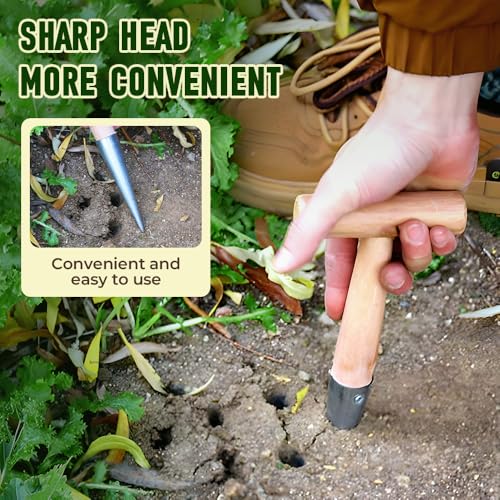 Plant Hole Digger para plantar, herramienta manual para jardín miniatura 3