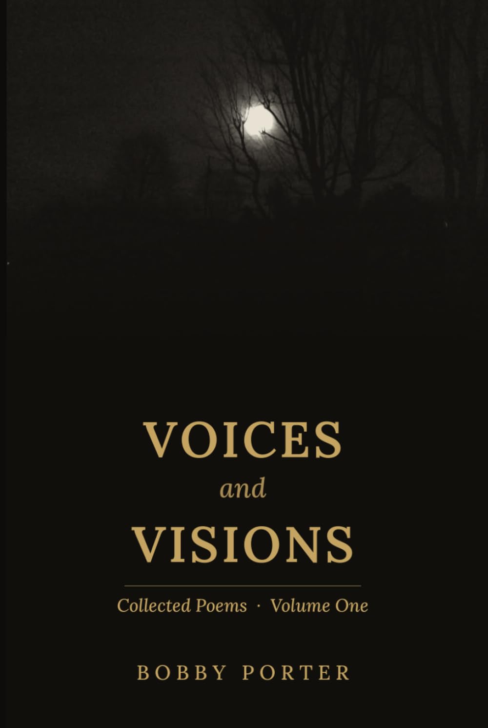 Voices and Visions: Collected Poems, Volume 1