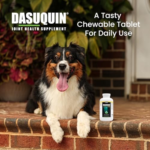 Nutramax Dasuquin MSM Joint Supplement, Large Dogs Chewable Tablets, 150ct - image 4