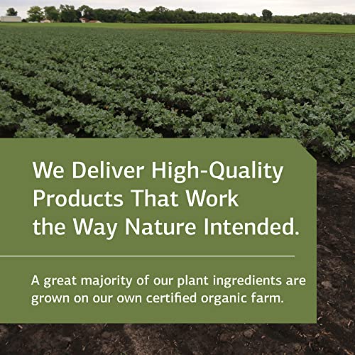 Standard Process Epimune Complex - Whole Food Respiratory Support With Maitake Mushroom Powder, Superfruit, Coriolus Versicolor, And Acerola - 90 Capsules #TOP4