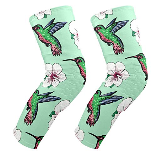 Genouillères rembourrées anti-chocs colibri floral pour sportifs