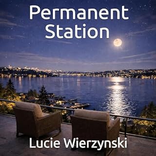 Permanent Station cover art