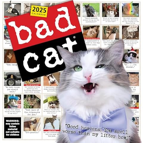 Bad Cat Wall Calendar 2025: Celebrating the Misfits of the Feline World Cover