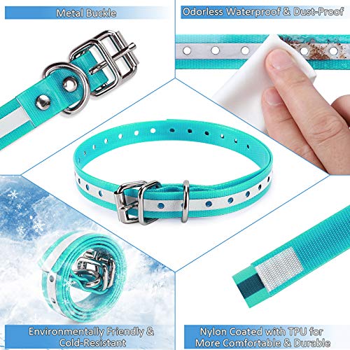 Collier de dressage : sangle de rechange robuste pour chien actif - 3