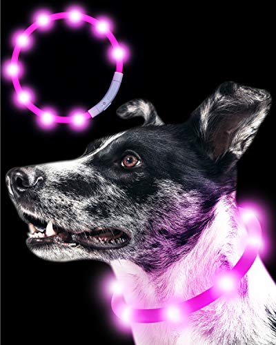 犬用ベーシック首輪 Amazon アマゾン