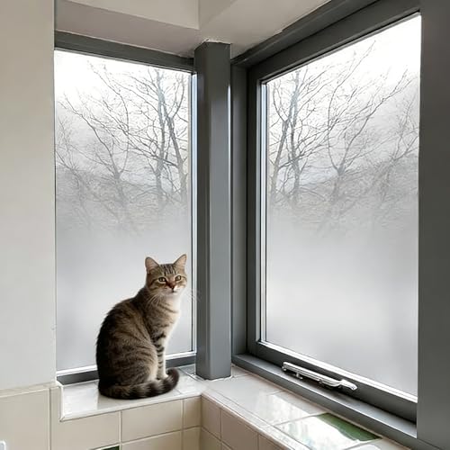 Película adhesiva para ventana esmerilada mate 40x60in miniatura 1