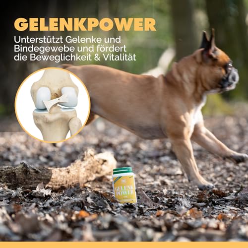 PAW WOW Gelenkpower Gelenkpulver 130g für Hunde, Katzen & Pferde | Mit natürlichem Kollagen & Grünlippmuschel | Unterstützt Gelenke & Bindegewebe | Ohne künstliche Zusatzstoffe