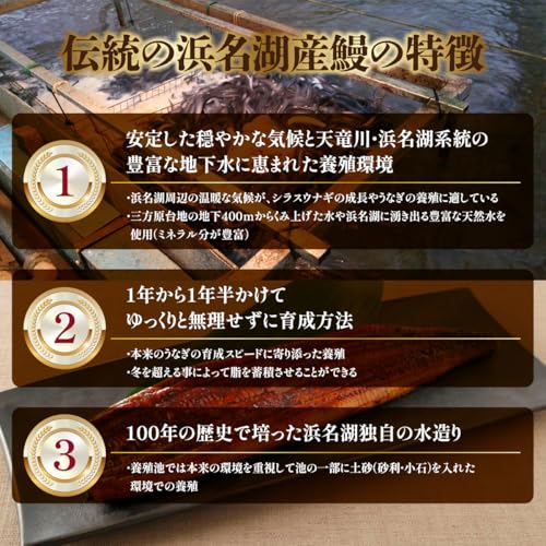 潮宝食品 うなぎ 国産 蒲焼 ギフト 2尾 鰻 ウナギ たれ山椒付き 真空パック 静岡県浜名湖産 の商品画像 1