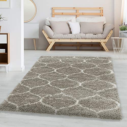 Carpettex Hochflor Teppich Wohnzimmer Shaggy Flokati Teppich Modern Skandinavisch Design 160 x 230...