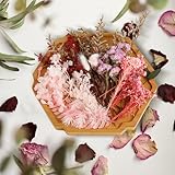 Zoom IMG-1 fiori secchi naturali e colorati Zoom IMG-1 fiori secchi naturali e colorati