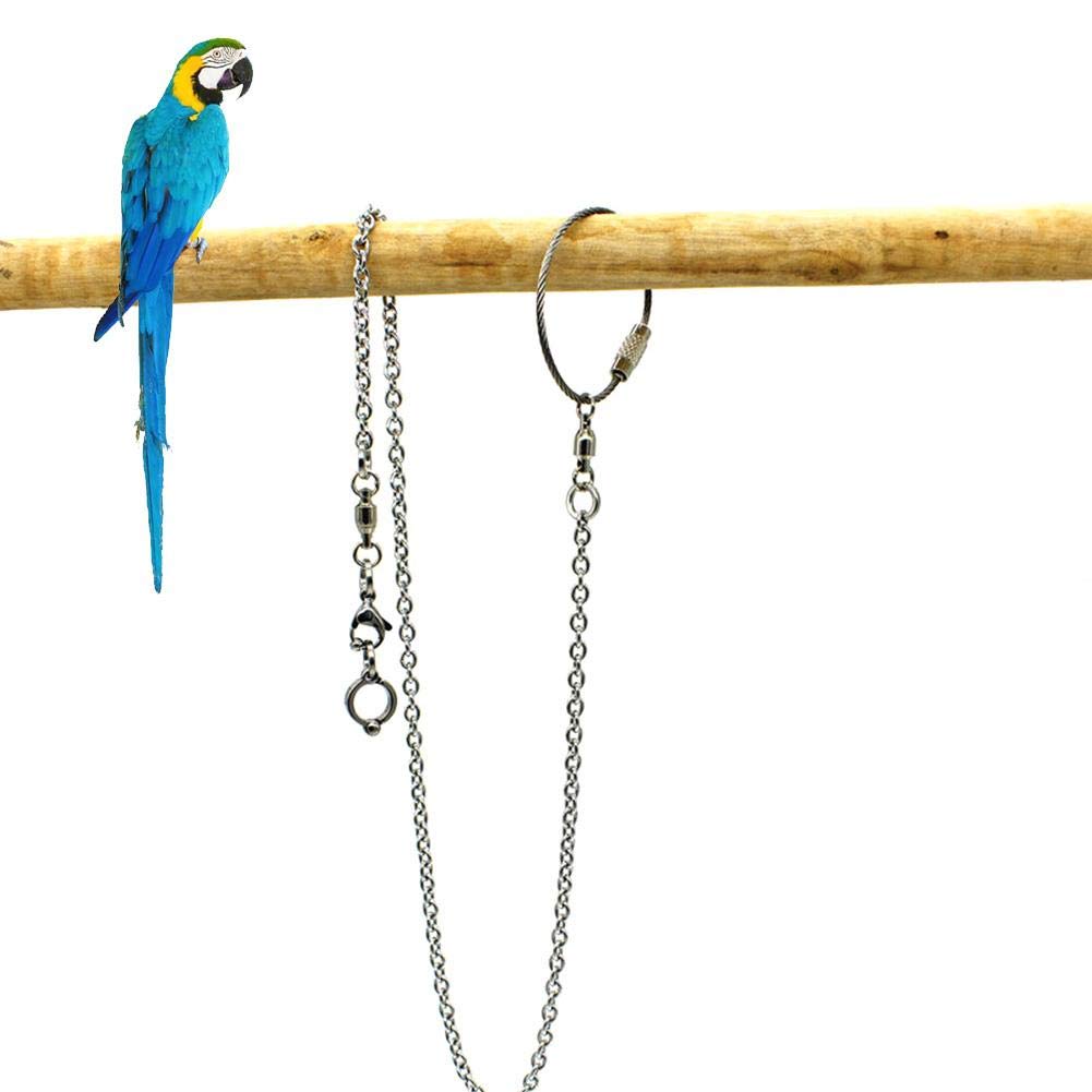 Parrot Foot Chain Birds Anklet Ring Stainless Steel Anti Flying |  Desertcart Gambia