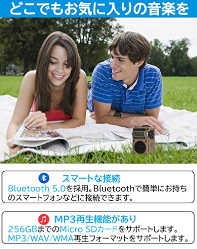 HanRongDa ポータブルFMラジオ HRD‑701(3)