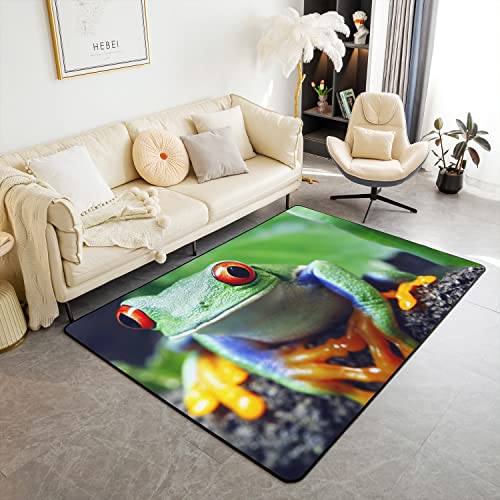 Erosebridal Red Eyed Frog Area Rug 3x5, Little Tree Frog Rug, Kids Frog Cute Animal Theme Carpet for Living Room, Children Black Green Non Slip Decorative Rug