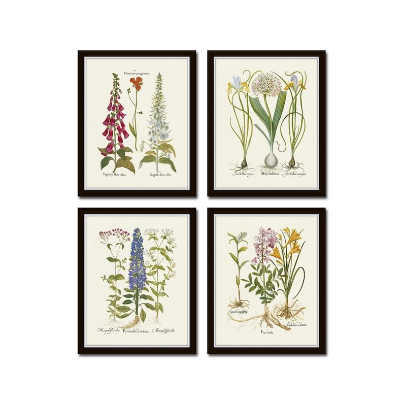 Amazon.com: Botanical Print Set No 33, Wall Art Prints, Vintage Wall Art, Vintage Wall Decor ...