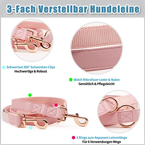 Weich Leder Hundehalsband und Leine (2m) Set - 3-Fach Verstellbar Hundeleine mit Halsband, Stilvollen Rose Gold Metall Schnalle & Nylon Hund Leinen für Welpen Kleine Mittlere Große Hunde Rosa,M