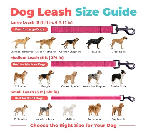 Image of Voyager Reflective Dog Leash with Neoprene Handle, 5ft Long, Supports Small, Medium, and Large Breed Puppies, Cute and Heavy Duty for Walking, Running, and Training - Fuchsia, S