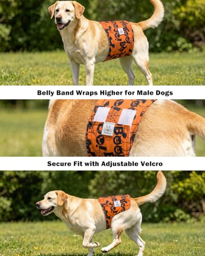 Image of CuteBone Dog Diapers Male Halloween Belly Bands 3 Pack for Male Dogs Reusable Puppy Wraps DM82XS