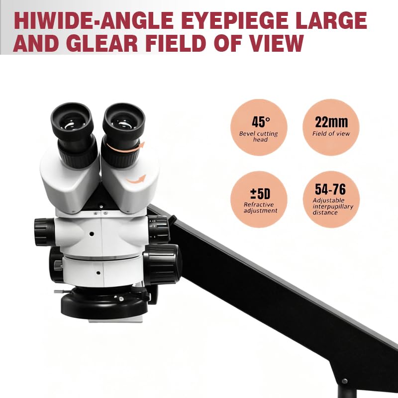 View 3